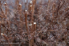 20170105-3