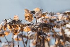 20170106-6