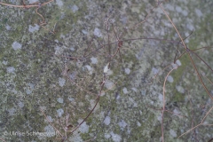20170119-29