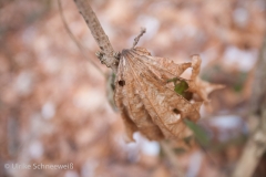 20170119-39