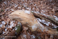 20170119-40
