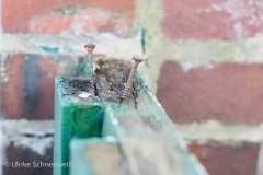 20170123-44