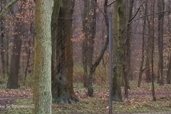 20170319-20170319_095552
